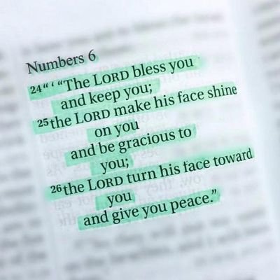 Michael35261481's profile picture. smiling is the best therapy