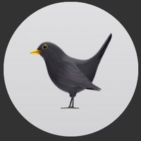 Taki (@tatokitota) 's Twitter Profile