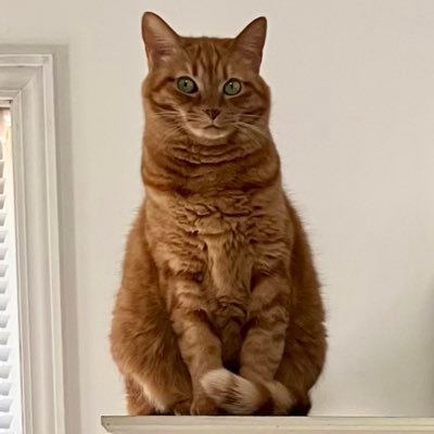 nazusakura's profile picture. 2023からようやくつぶやき始めました。音楽と日々のこと。ピアノ再開。インテリアと猫の写真はInstagramにあげてます。関東からIターン。