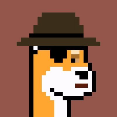0xme66's profile picture. 
