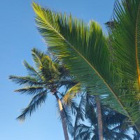 Beachesguy (@beachesguy2) 's Twitter Profile