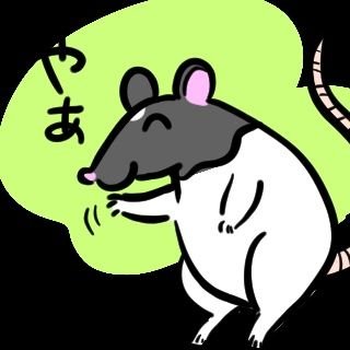 成人済。2019.10.22にfo76始めました。
猫やねずみ等ゆるい動物のラインスタンプ描いてます🐭

猫とネズミと暮らしてる。