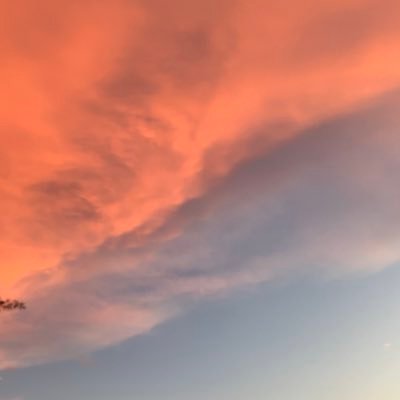 zzeawoo's profile picture. bibd: 00001021320888