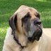 Jim Carsten (@jim_carsten) Twitter profile photo Jim Carsten (@jim_carsten) Twitter profile photo