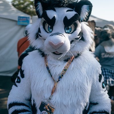 Taiwanese Tiger 🐅/ ✂ : @BK_fursuit / Profile Photo by @goat83262 / Cover Pic by @iekun_art