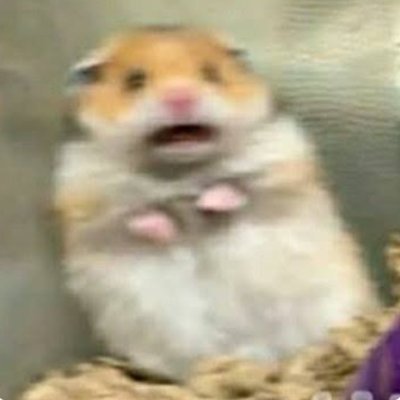 floridinnn's profile picture. Kepribadian ku yang lain🐒