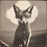 DustyBlackFox (@dustyblackfox) 's Twitter Profile Photo DustyBlackFox (@dustyblackfox) 's Twitter Profile Photo