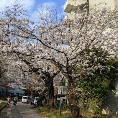 Aynihs44's profile picture. biophysics, computational science