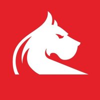 LOSC FANS ONLINE 🔴⚪ (@loscfansonline) 's Twitter Profile Photo LOSC FANS ONLINE 🔴⚪ (@loscfansonline) 's Twitter Profile Photo