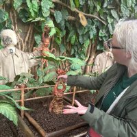 Lil Poundcake (@kthanks159) 's Twitter Profile Photo