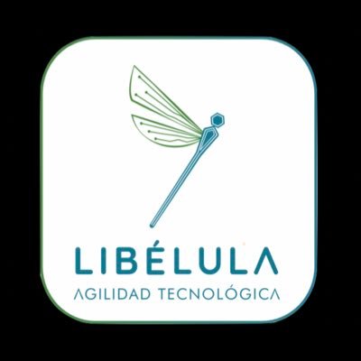 Libélula Soft es una compañía que hace comercio electrónico en la vertical de seguros #Insurtech y la vertical financiera #fintech