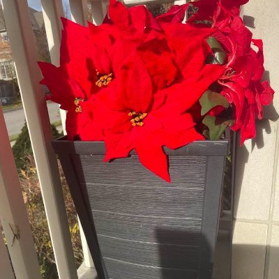 prophetessGTB's profile picture. The COVENANT! We Cannot Fail! Pastor Dr. Gloria Taylor-Boyce Get it today on https://t.co/BGUgs5a6HL Get this book today on any Amazon from around the world.