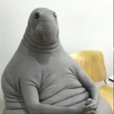 Julen García Profile