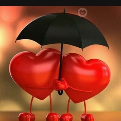 sefik73's profile picture. 