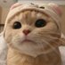 Rehan ⌘ (@farooquimu18846) Twitter profile photo Rehan ⌘ (@farooquimu18846) Twitter profile photo