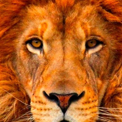 SinghMr694's profile picture. $BTC $BNB $ETH $SOL $AVAX