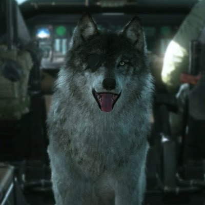 um88497's profile picture. 