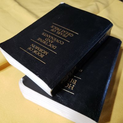 Just trying to read the scriptures more deeply and more often.
Currently studying faith, knowledge, learning, and remembering.