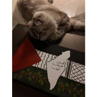 مِـيم . (@_min4z) 's Twitter Profile