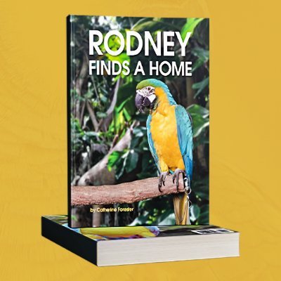 Rodney, the blue & gold Macaw, found love after pet store neglect. He soared to a forever home with parrot pals and devoted owners. 🦜✨

https://t.co/zxMDfTj0g4