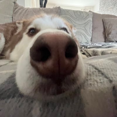 Heat3dF's profile picture. 18 🏴󠁧󠁢󠁷󠁬󠁳󠁿