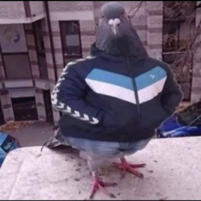 AlpertheFace's profile picture. 