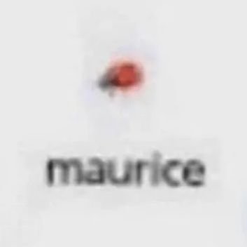 Fish67746138's profile picture. Just here for fun