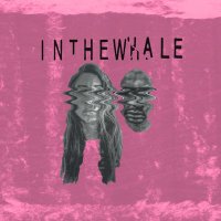 INTHEWHALE(@inthewhale) 's Twitter Profileg