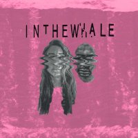 INTHEWHALE (@inthewhale) 's Twitter Profile
