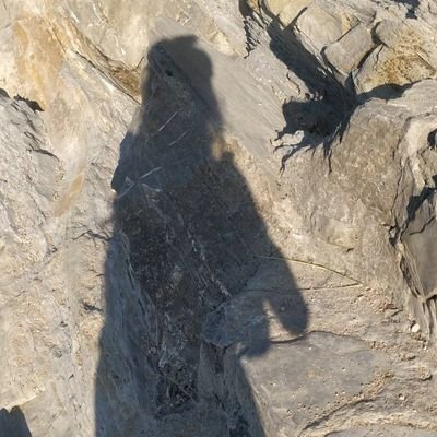 zumezusammen's profile picture. 