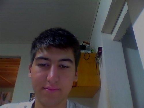 LAltaneta's profile picture. leozionho