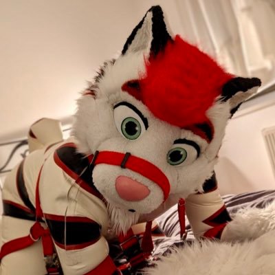 80% shiny 20% fluffy | Rubber toy | Locked in latex ✨ | BDSM ⛓️ | Fursuits and latex combos