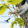 Suzuki_Syusaku's profile picture. スカイマーク機内誌『空の足跡』表紙絵掲載中。絵本『くるまはこびます』『ゆきかきでんしゃ』（福音館書店）など。えちぜん鉄道カレンダーの原画の作者。絵画教室講師。エゾリス好き。飛行機好き。水彩色鉛筆画。札幌在住。福井大好き。ライフワークは札幌市電と街の風景。
#北海道 #札幌 #水彩色鉛筆 #イラスト