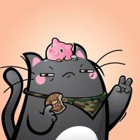 NFTMeow (@nftmeoww) 's Twitter Profile