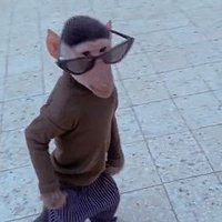 serialcat2 (@serialcat2) 's Twitter Profile