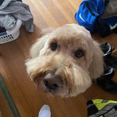 RichardWeitsen's profile picture. 