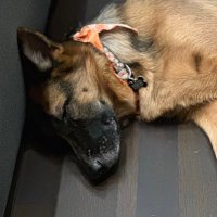Mali (@malu0903) 's Twitter Profile