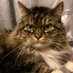 Piotr Wroński 🇵🇱 🇮🇱 🎗️ (@piotr56135281) Twitter profile photo Piotr Wroński 🇵🇱 🇮🇱 🎗️ (@piotr56135281) Twitter profile photo