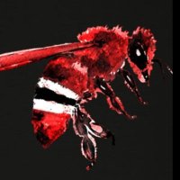 Man of La Manca 🐭 (@manoflamanca) 's Twitter Profile Photo Man of La Manca 🐭 (@manoflamanca) 's Twitter Profile Photo