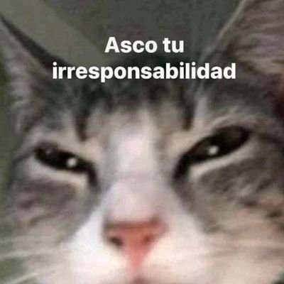 Taylor, los biti y mis opiniones que no preguntaron sobre política y cultura general
lechuguifera🥬