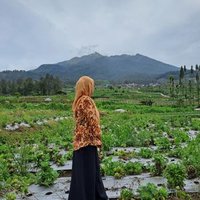 jasm1nw1n (@jasm1nw1n) 's Twitter Profile