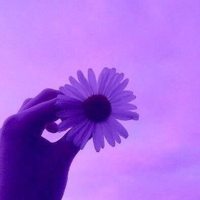 JeAnn🌻💜 Believing is Everything 💖