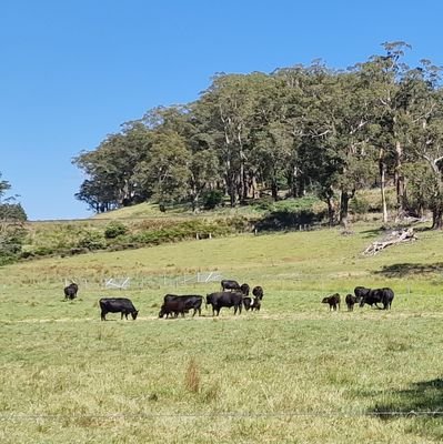 FrankieK2023's profile picture. views are mine, and mine alone.