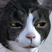 堂道形人 (@donomichinarito) 's Twitter Profile Photo