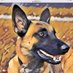 Barb Schommer (@infidel_swagger) Twitter profile photo Barb Schommer (@infidel_swagger) Twitter profile photo