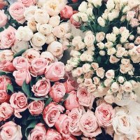 BETÜLL 🌌 #usakpasif #usakaktif (@sybilp59728) 's Twitter Profile Photo BETÜLL 🌌 #usakpasif #usakaktif (@sybilp59728) 's Twitter Profile Photo