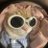 pedrocota_'s profile image