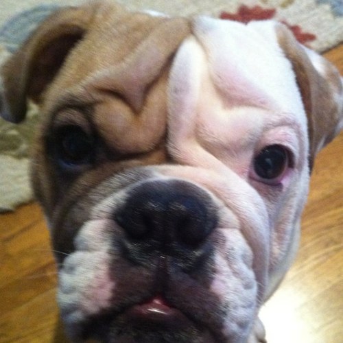 WinstonCMaddon's profile picture. 