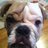WinstonCMaddon's profile image