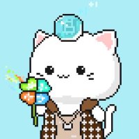 ❤️ Bitcoin Cats 🐉 $MON(@CuongAir9x) 's Twitter Profile Photo